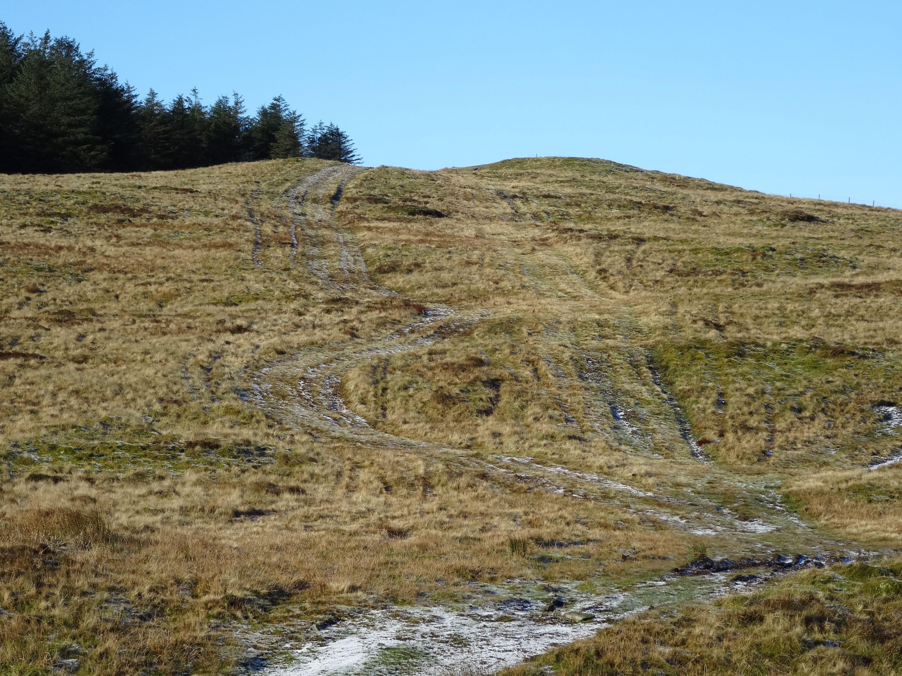 RachelSeabrook.net | Wild Walking | Y Garn & Pumlumon | pic05C
